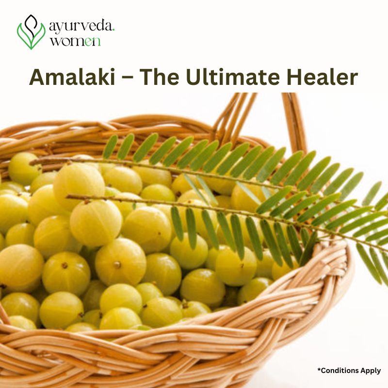Amalaki – The Ultimate Healer